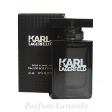 Karl Lagerfeld for Him (миниатюра)