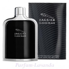 Jaguar Classic Black       